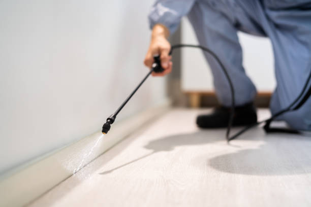 Licensed Termite Control service in Bronson, MI - Nex Pest Control