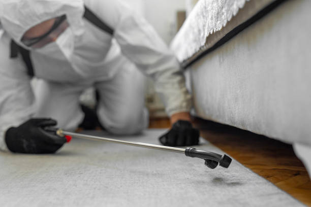 Professional Termite Control technician working in Bronson, MI