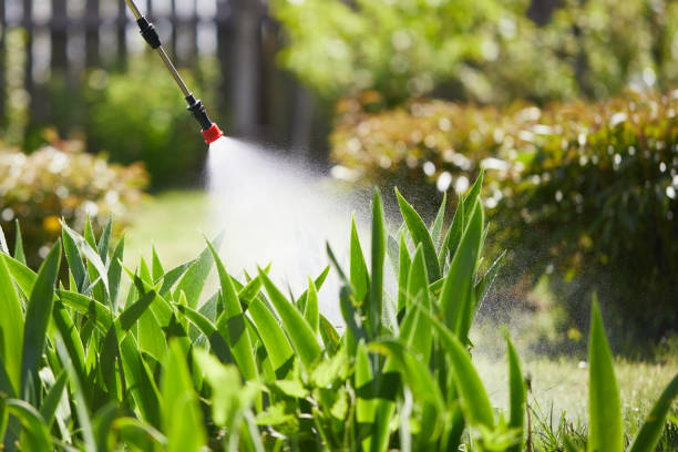 24/7 Emergency Termite Control experts in Bronson, MI