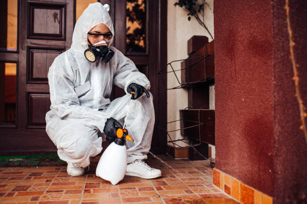 Reliable Termite Control contractor in Bronson, MI by Nex Pest Control