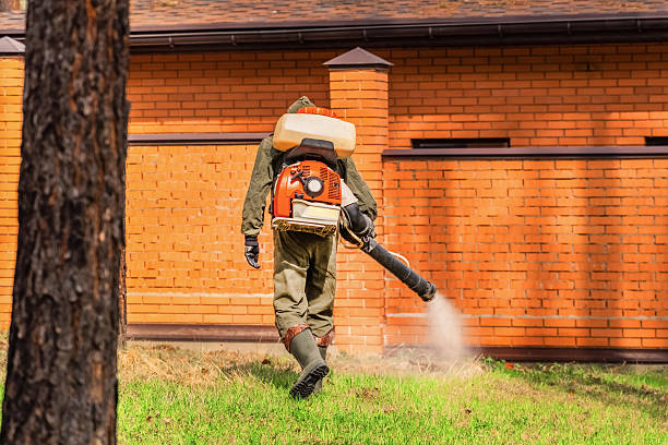 Top rated local Termite Control specialists in Bronson, MI